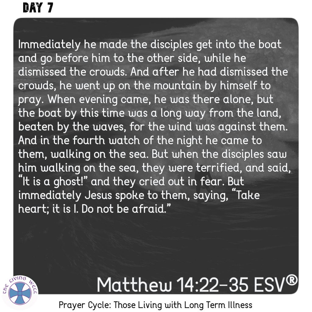 Matthew 14:22-27 ESV®