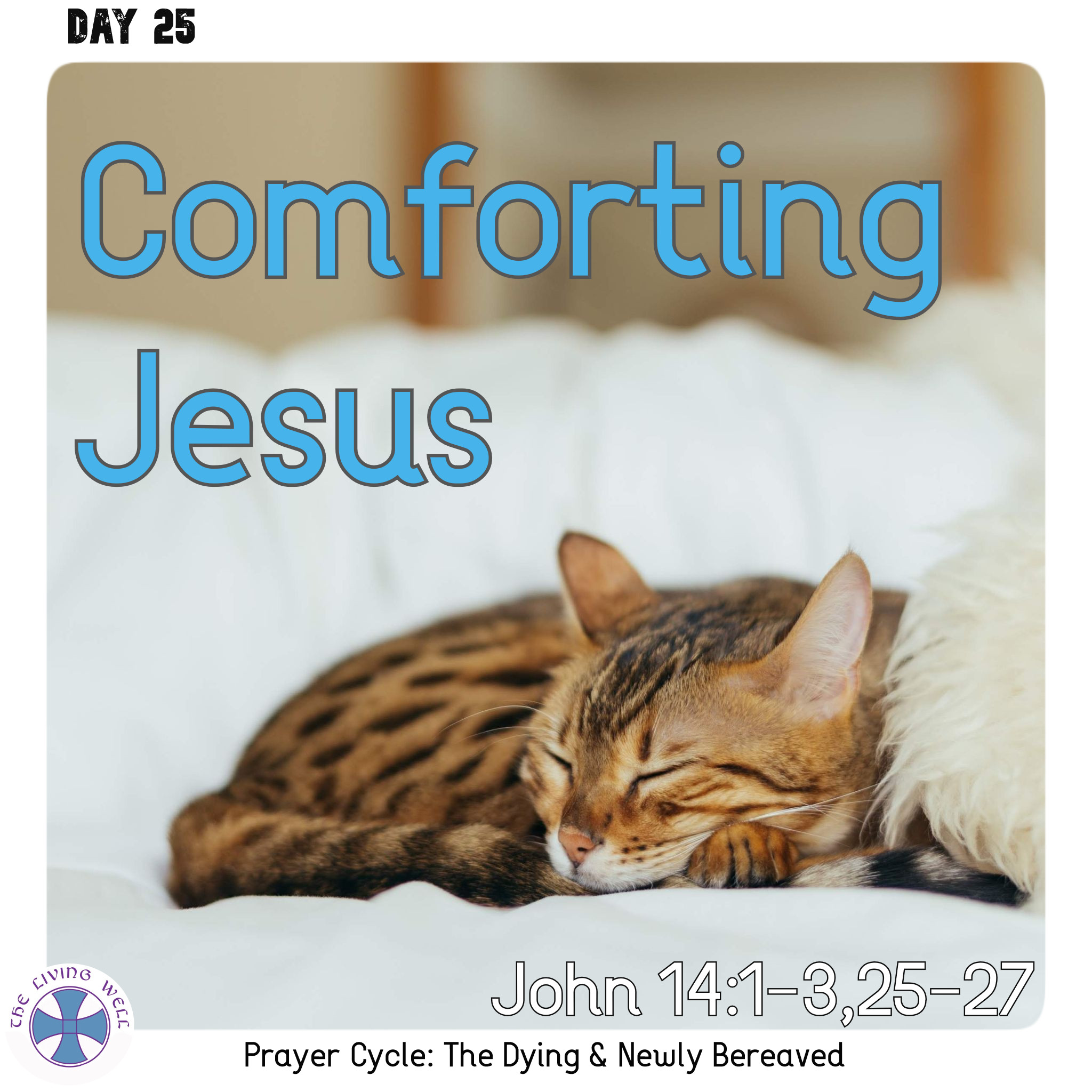 Comforting Jesus