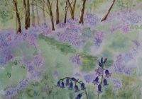 Bluebells