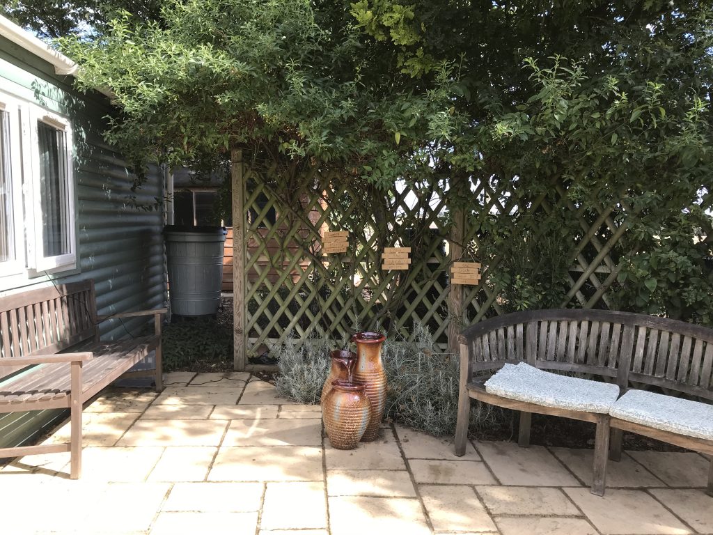 A quiet seating area in the garden with a bench and a fountain